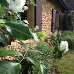 Ma Maison De Couture Urval