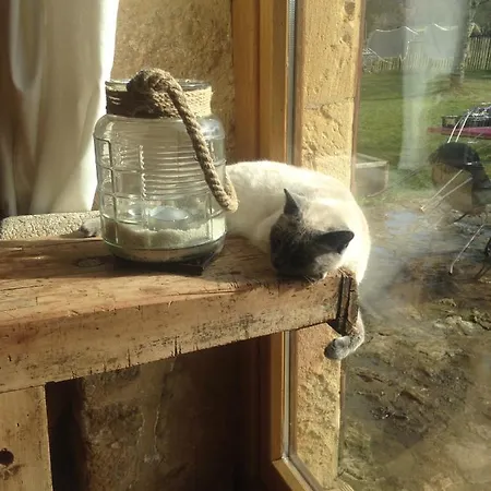 Ma Maison De Couture Urval