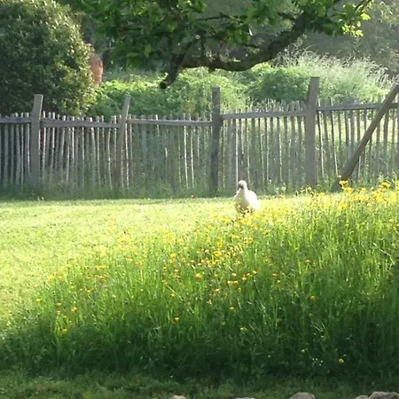 Ma Maison De Couture