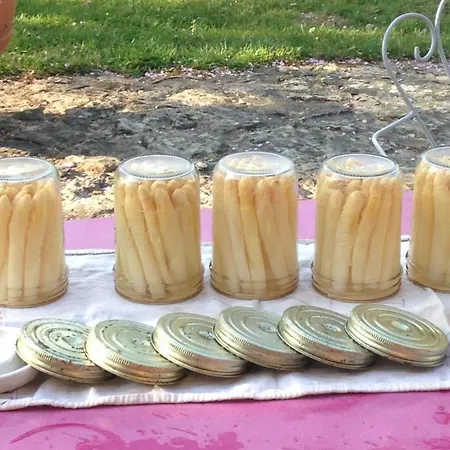 Ma Maison De Couture 3* Urval