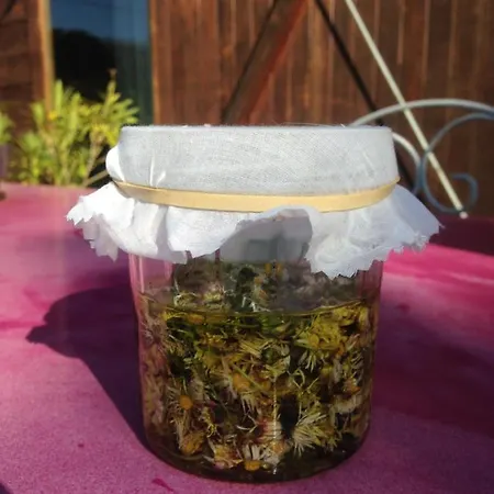 Bed & Breakfast Ma Maison De Couture 3*