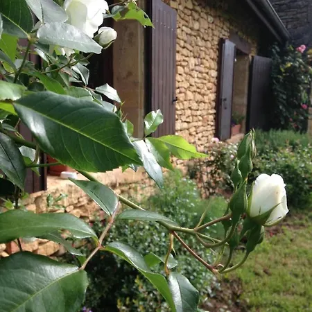 Ma Maison De Couture Urval