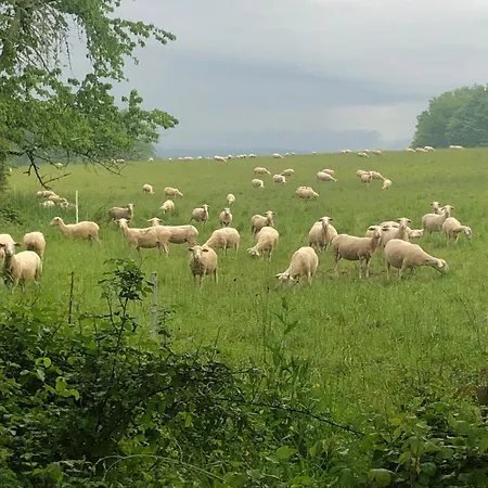 Frühstückspension Ma Maison De Couture