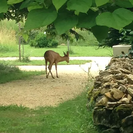 Bed & Breakfast Ma Maison De Couture 3*