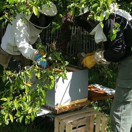 Ma Maison De Couture Urval