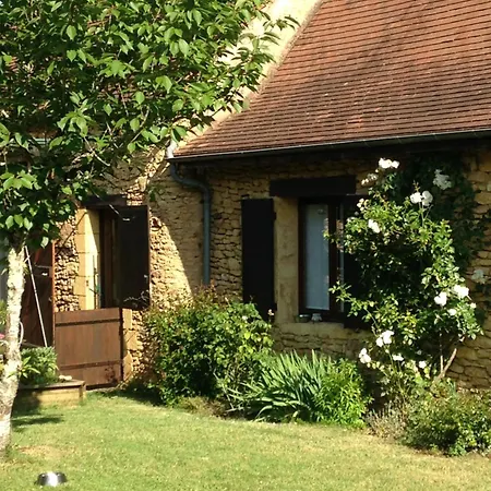 Ma Maison De Couture