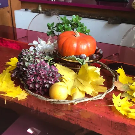 Ma Maison De Couture 住宿加早餐酒店 3*
