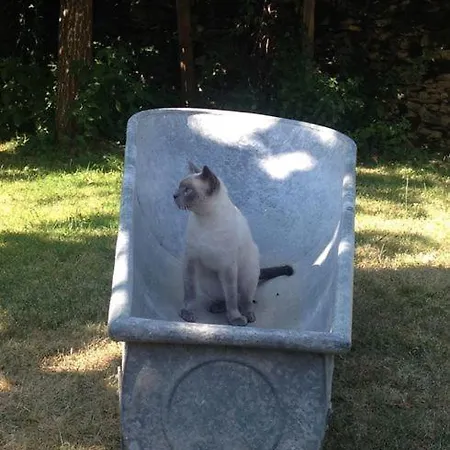 Ma Maison De Couture Bed & Breakfast Urval