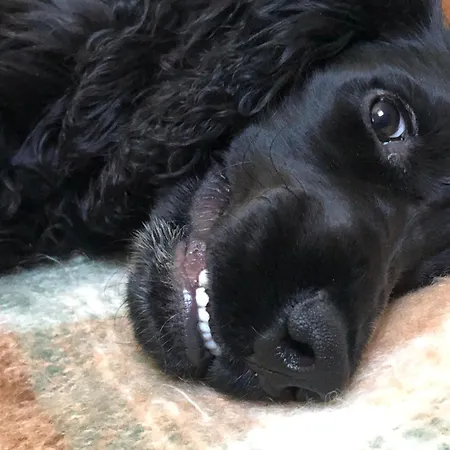 Bed & Breakfast Ma Maison De Couture Urval