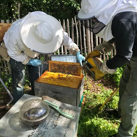 Ma Maison De Couture Urval