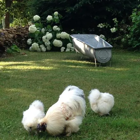 Ma Maison De Couture Urval