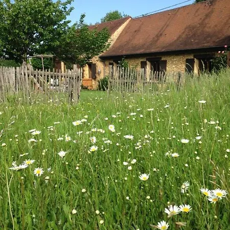 Ma Maison De Couture Urval