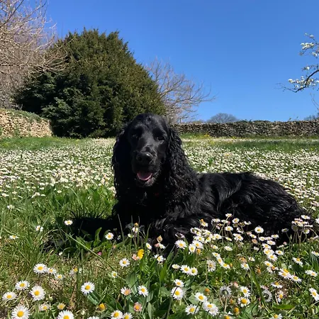 Ma Maison De Couture