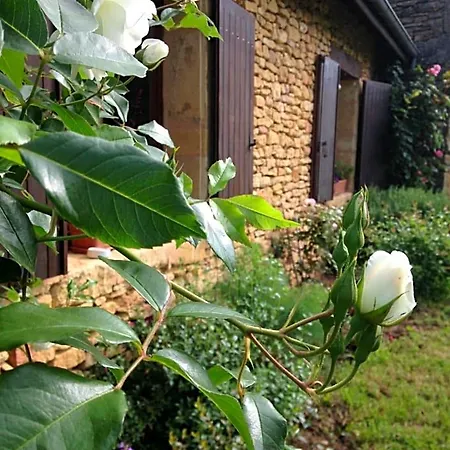 Ma Maison De Couture Bed and breakfast 3*