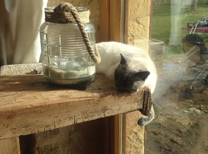 Ma Maison De Couture Urval