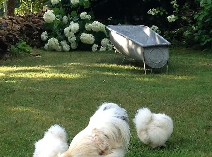 Ma Maison De Couture Отель типа 