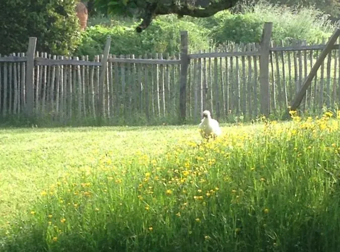 Ma Maison De Couture