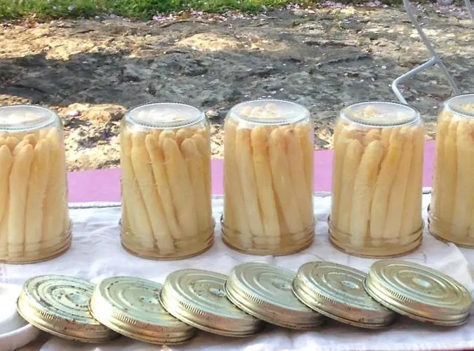 Ma Maison De Couture 3* Urval