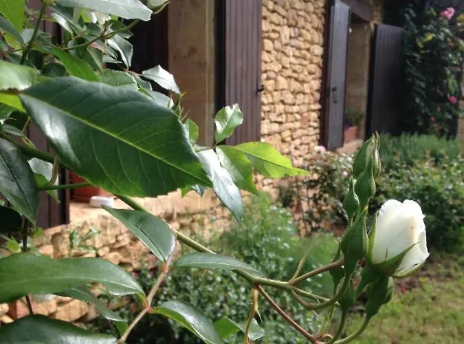 Ma Maison De Couture Urval