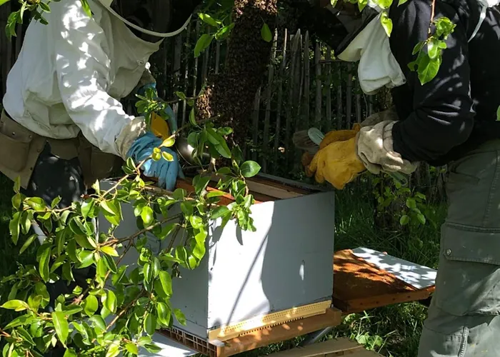 Ma Maison De Couture Urval