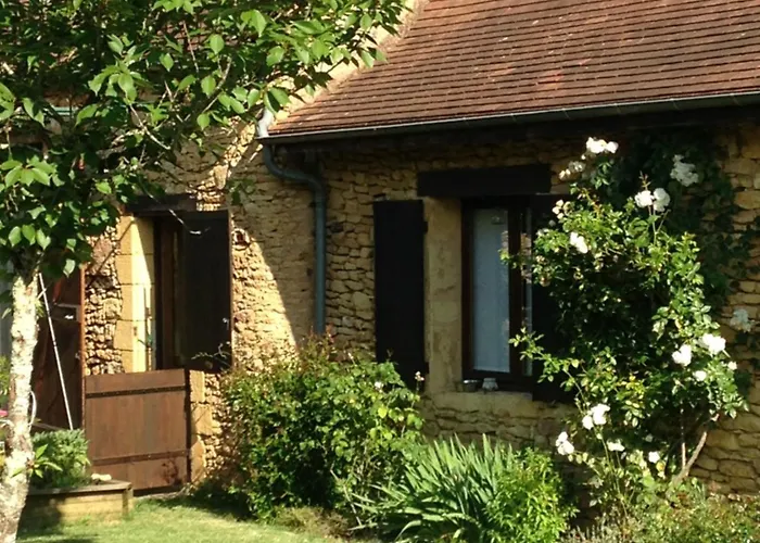 Ma Maison De Couture