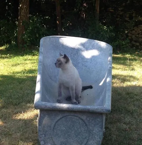 Ma Maison De Couture Отель типа 