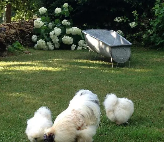 Ma Maison De Couture Urval