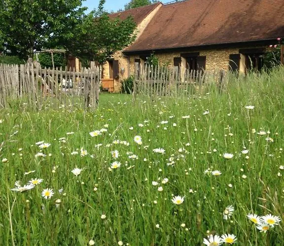 Ma Maison De Couture Urval