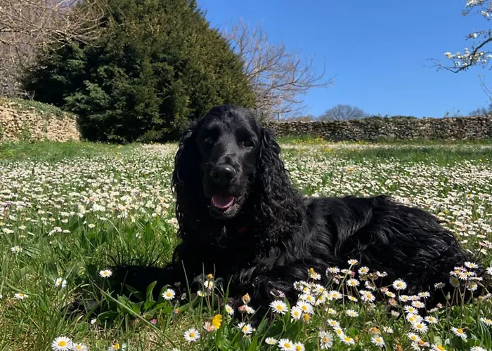 Ma Maison De Couture